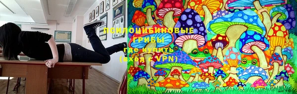 ALPHA-PVP Медвежьегорск