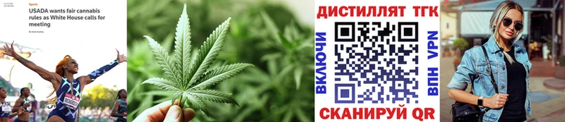 Купить где  Новозыбков  Дистиллят ТГК концентрат 