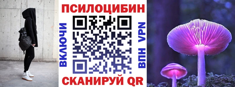 Псилоцибиновые грибы прущие грибы  Купить закладки  Новозыбков 