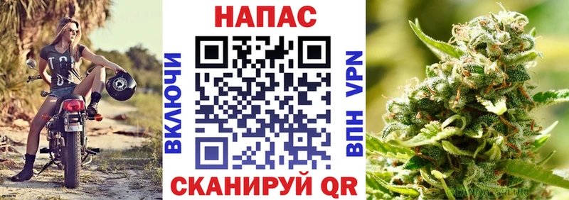 Купить  Новозыбков  Каннабис план 